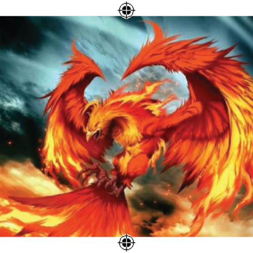 Phoenixthebarber